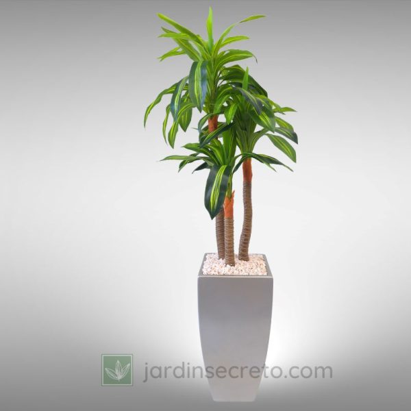 Maceta de Fibra de Vidrio modelo Arami con Planta Artificial Palo de Brasil mediano B