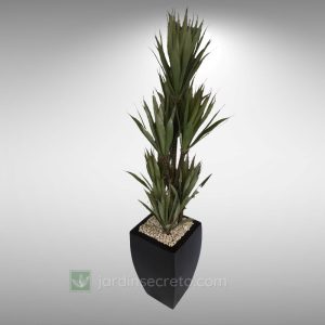 Arreglos de Planta y Macetas Modelo Arami01CH&Sabila