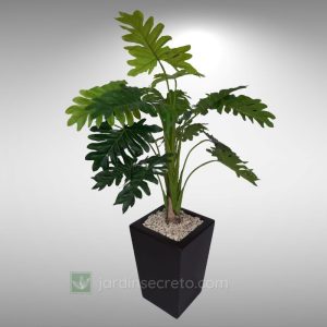 Arreglos de Planta y Macetas Modelo Carter 02 CH & Monstera 02