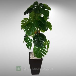 Arreglos de Planta y Macetas Modelo Carter 02 CH & Garra de León