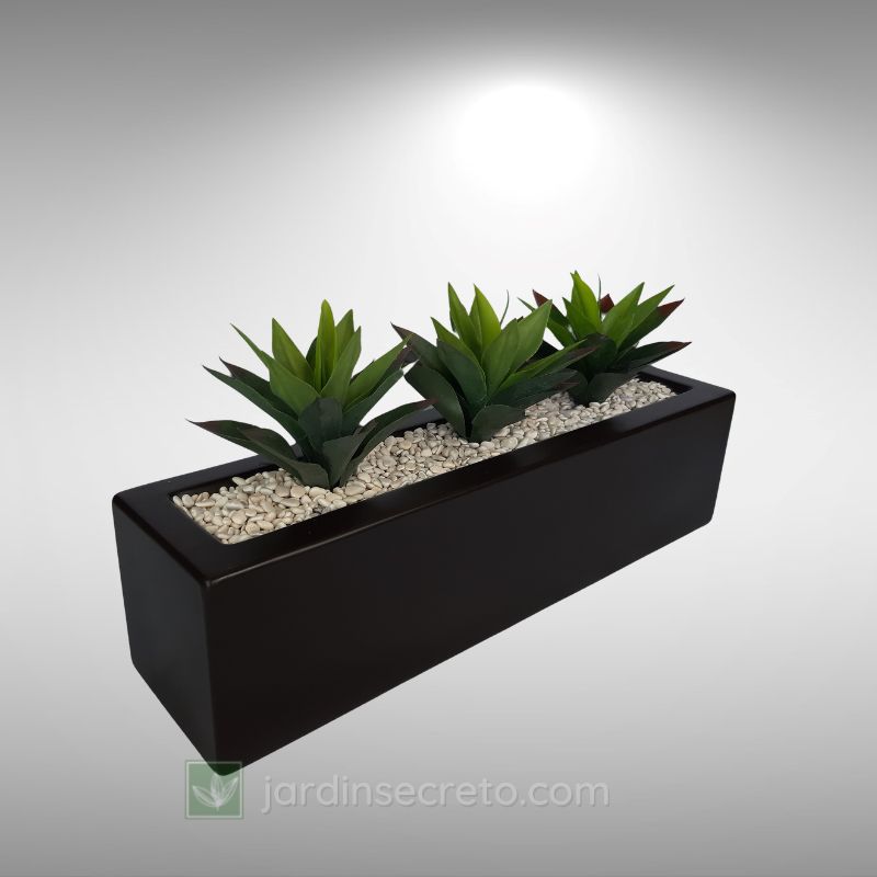 Arreglos de Planta y Macetas Modelo Jardinera Cubetto 02 CH & Agave