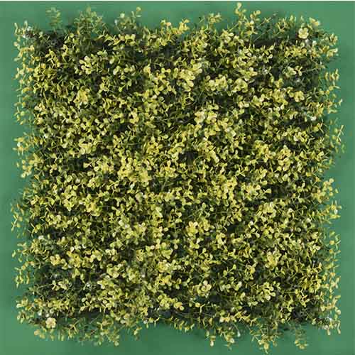 Muro Verde Modelo Arrayan Amarillo