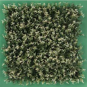 Muro Verde Modelo Arrayan Blanco
