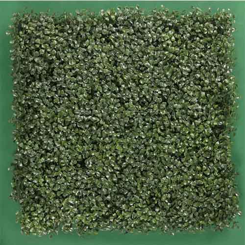 Muro Verde Modelo Trebol