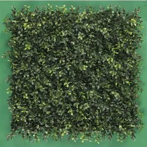 Muro Verde Modelo Boxwood