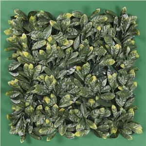 Muro Verde Modelo Laurel Dorado