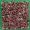 Muro Verde Modelo Maple