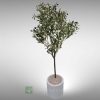 Arreglo de maceta de Fibra de vidrio y planta artificial