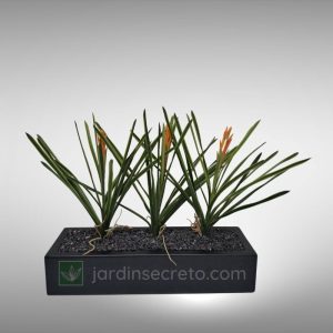 Arreglo de maceta de Fibra de vidrio y planta artificial